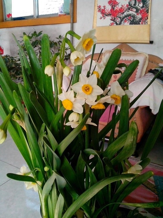 QQͼƬ20140126200357.jpg