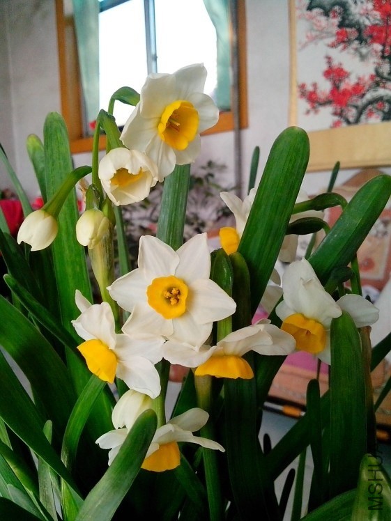 QQͼƬ20140126200407.jpg