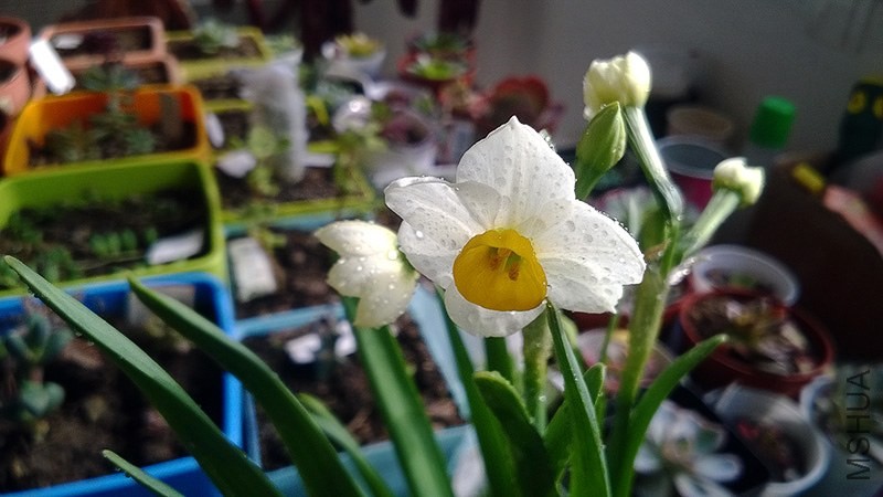 WP_20140124_007.jpg