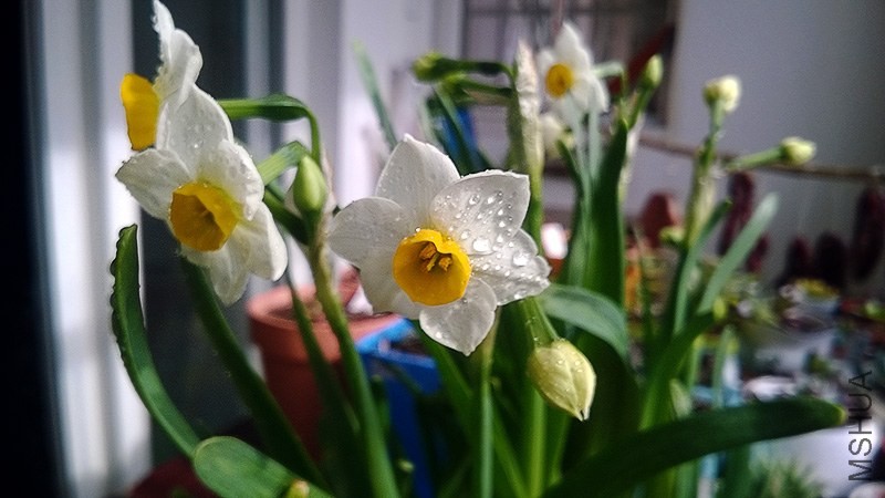 WP_20140124_009.jpg
