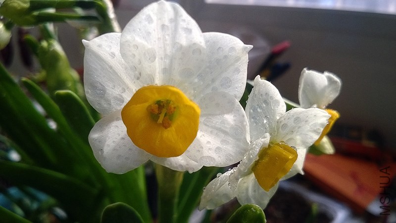 WP_20140124_010.jpg