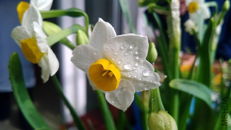 WP_20140124_011.jpg