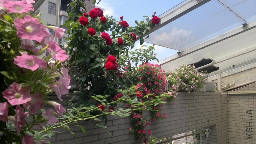 ���� 201307115741.JPG