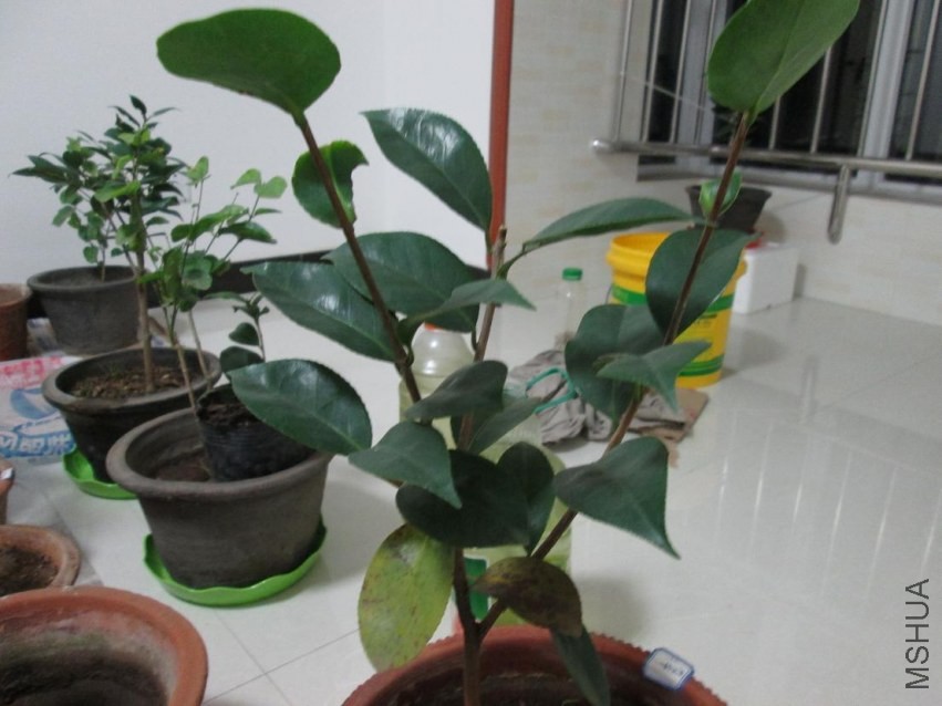 ��Ƭ 026.JPG