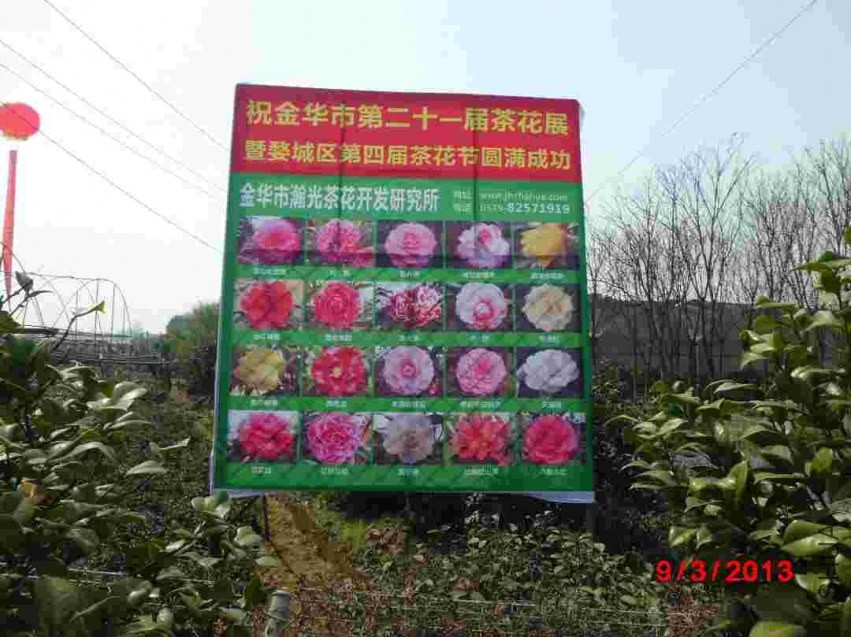 CIMG0894.JPG