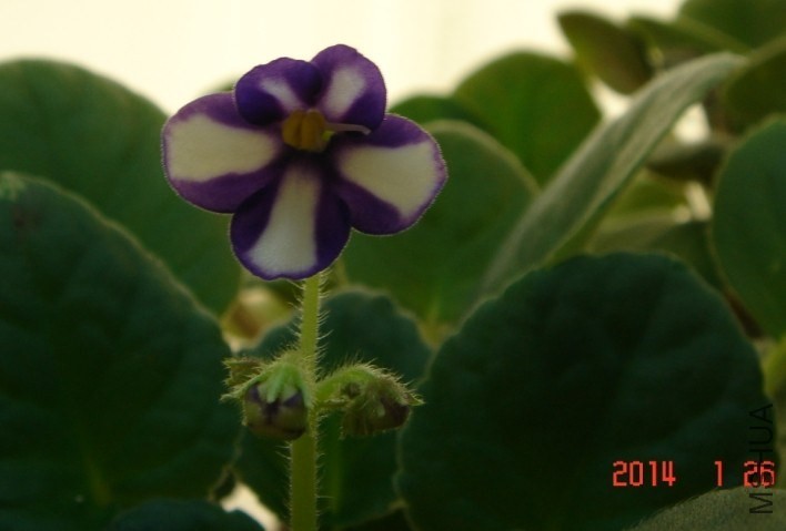 QQͼƬ20140126163807.jpg