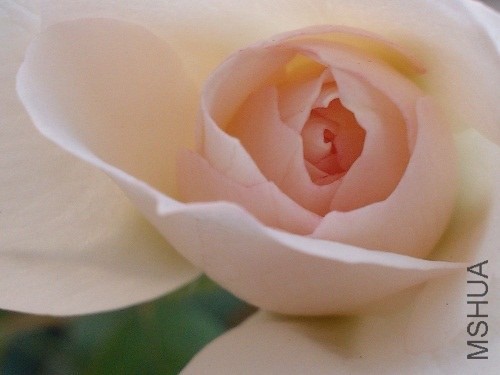 IMG20130908174939.jpg