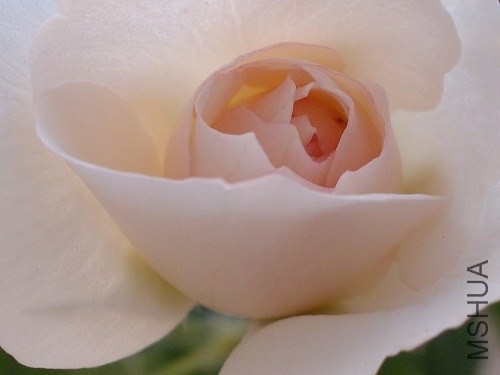 IMG20130908174606.jpg
