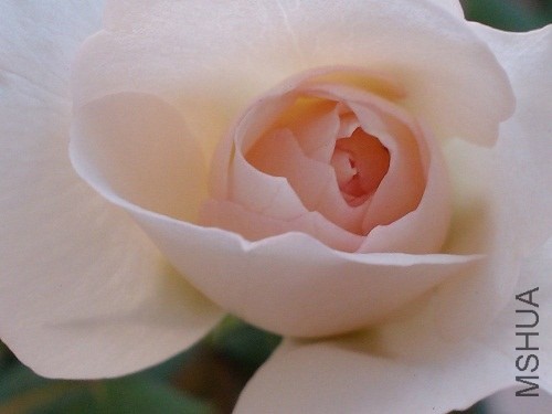 IMG20130908174534.jpg