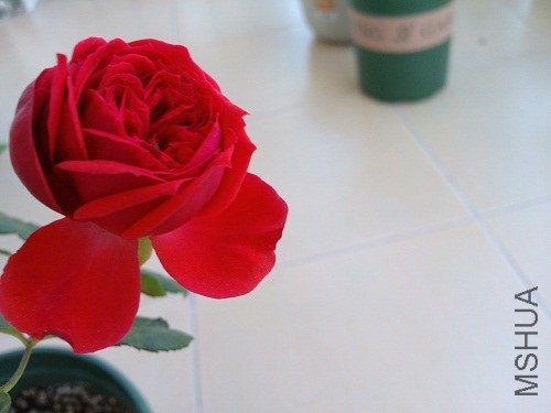 IMG20131115095229.jpg