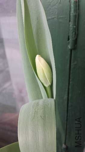 20140123_124739.jpg