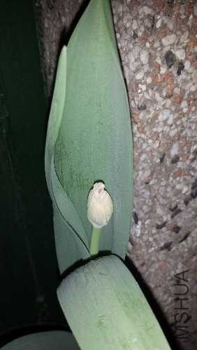 20140127_193023.jpg