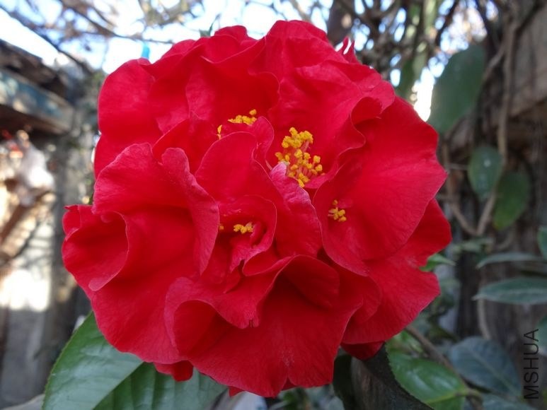 DSC00791.JPG