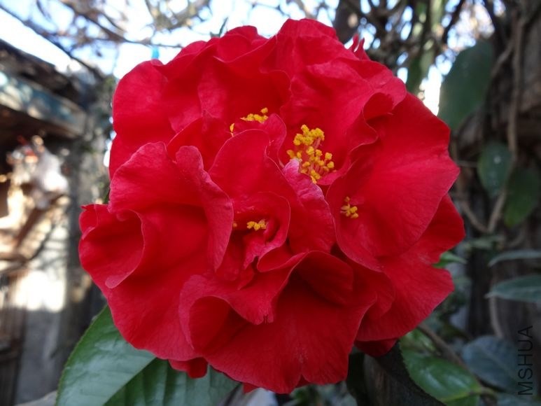 DSC00790.JPG