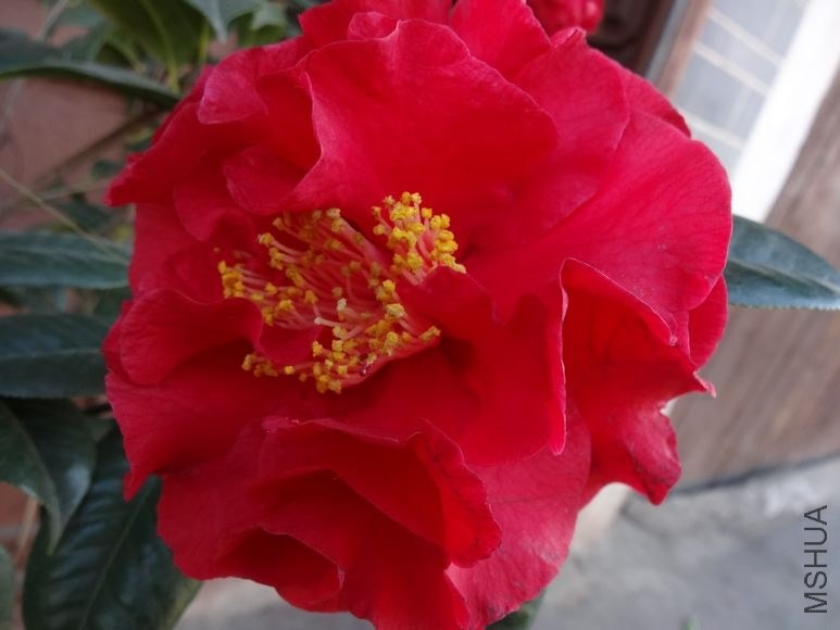 DSC00792.JPG