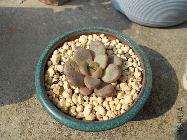 DSCN4539.jpg