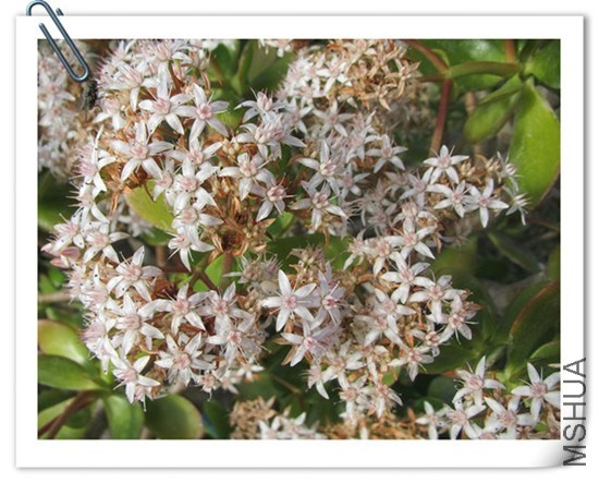 ��Ƭ2ħ��ʦ 099_����_����.jpg