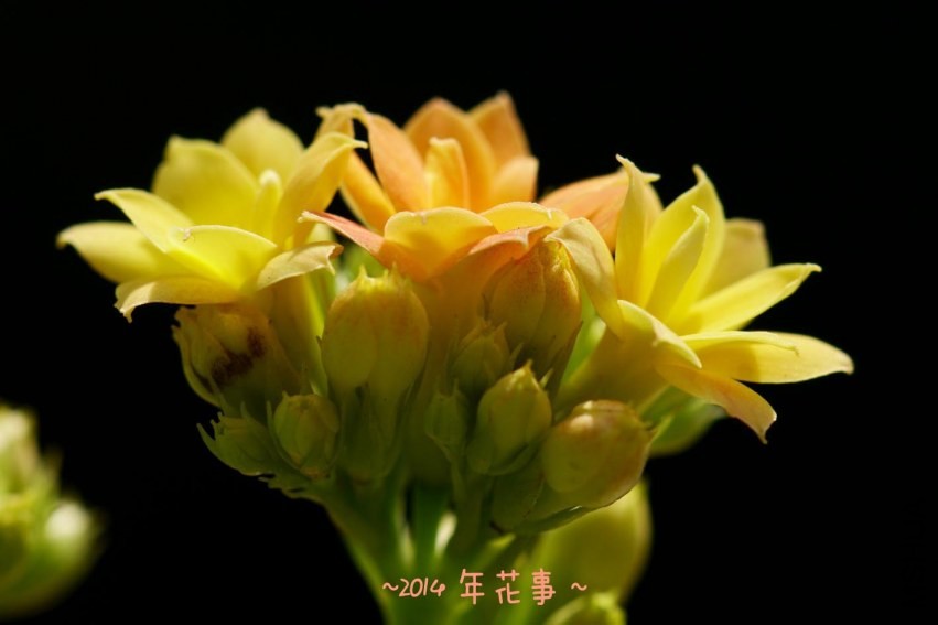 02.jpg