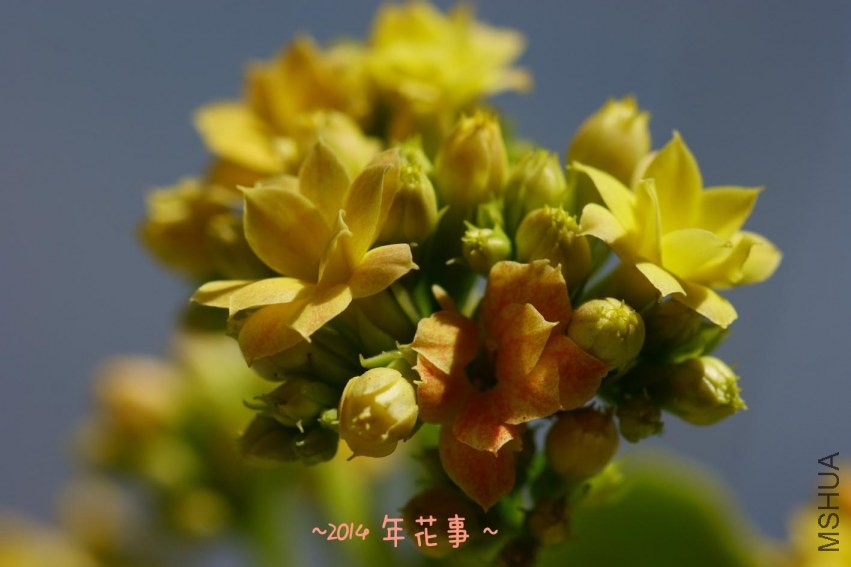 04.jpg
