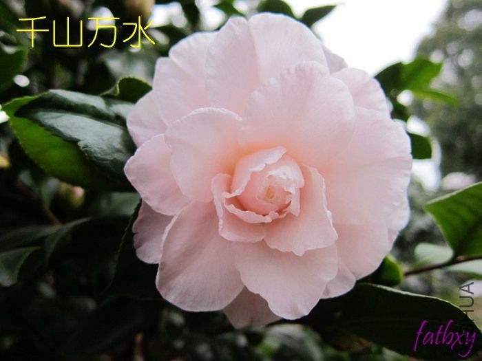 ǧɽ��ˮ1.jpg