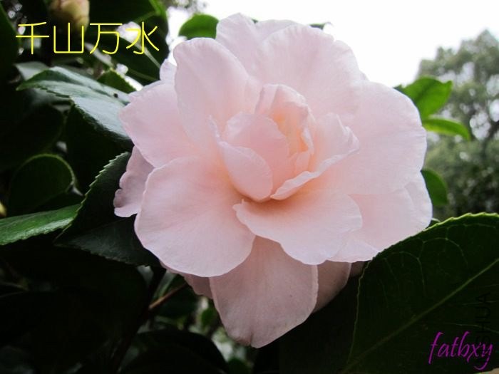 ǧɽ��ˮ2.jpg