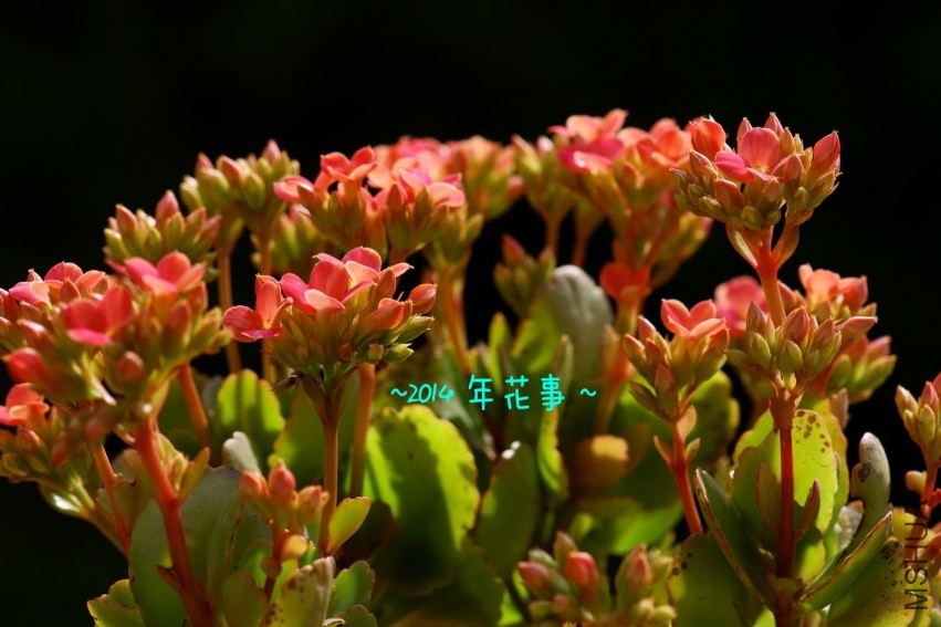 02.jpg