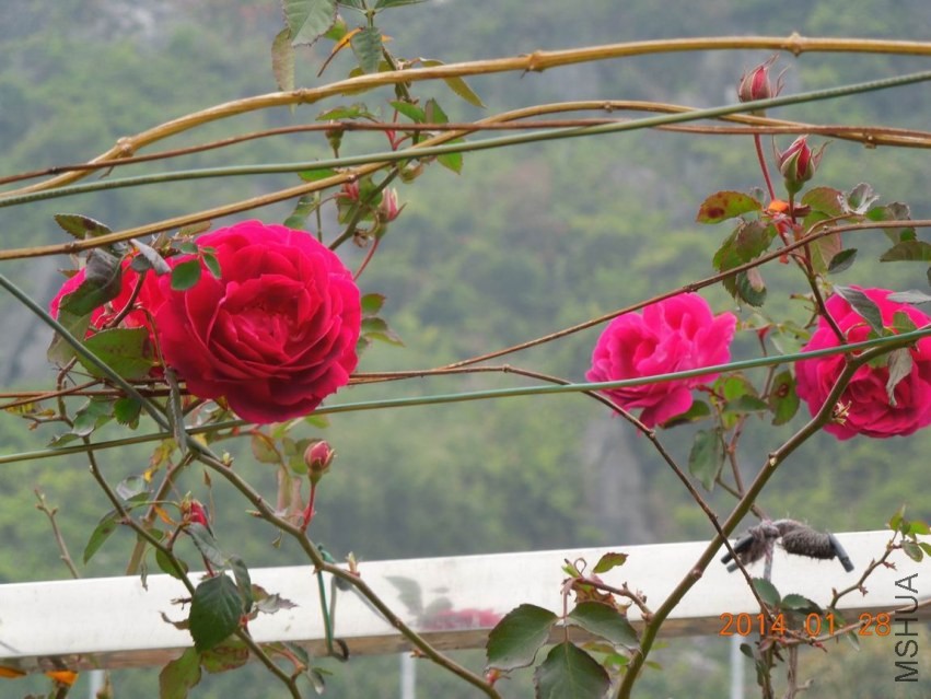 ����