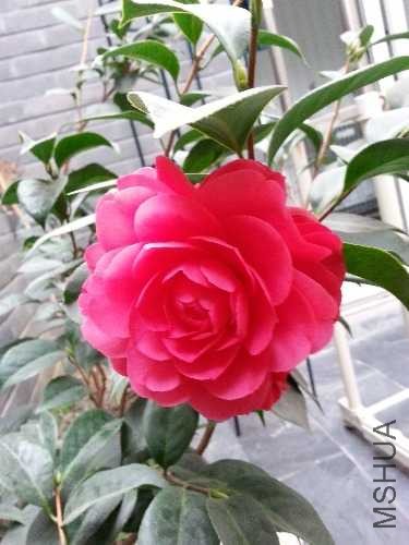 20140118_161853.jpg