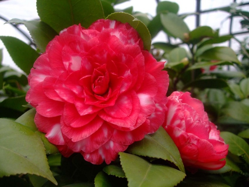 ������ 2014-1-29 007.jpg