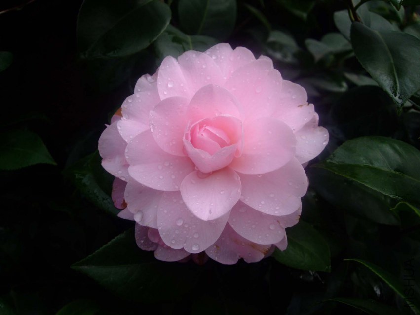 ����� 2014-1-28 048.jpg