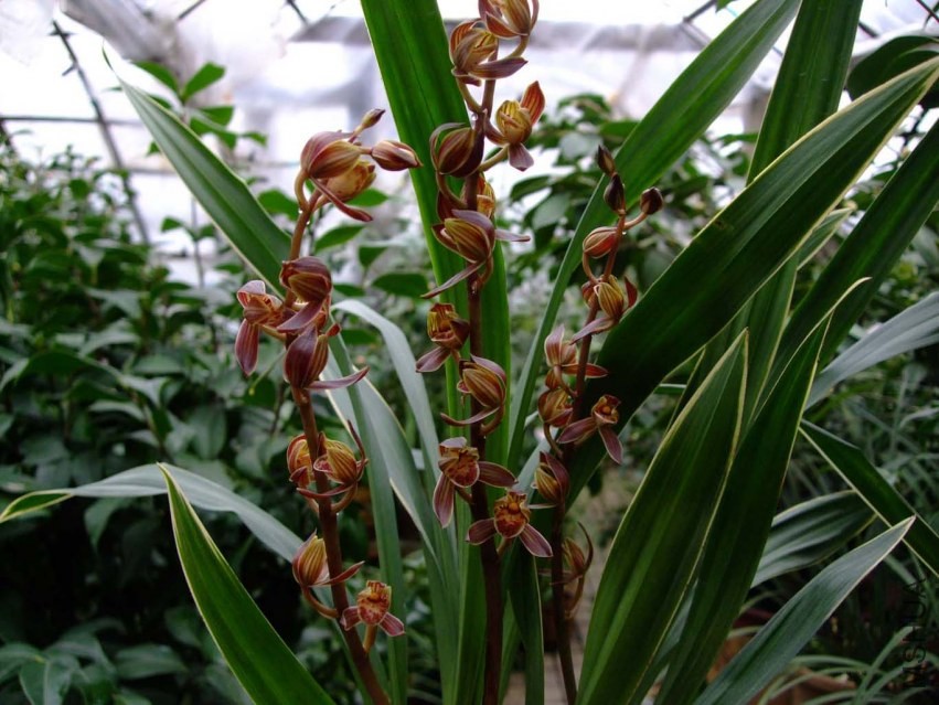 ʮ�˽� 2013-2-23 067.jpg