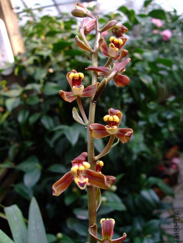 ���ϴ�÷ 2013-3-9 127.jpg