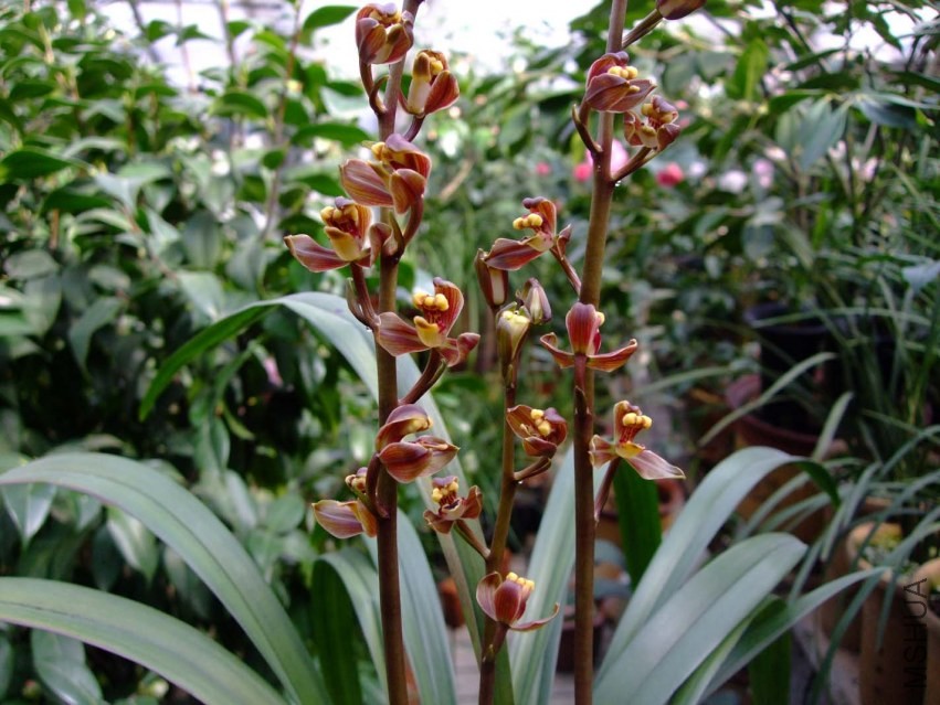 ���ϴ�÷(ī) 2013-3-3 077.jpg