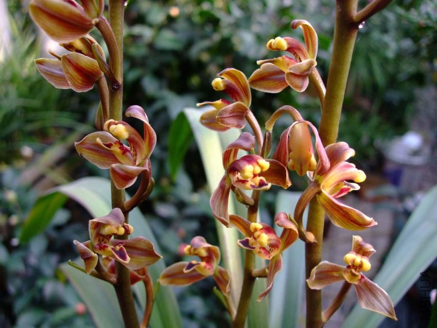 ���ϴ�÷ 2013-3-9 131.jpg