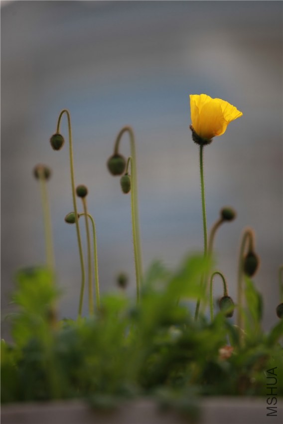 �ּ������� (12).JPG