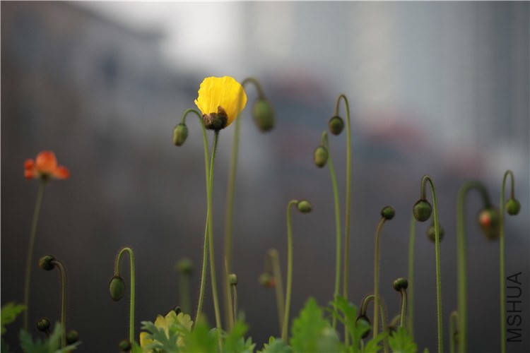 �ּ������� (13).JPG