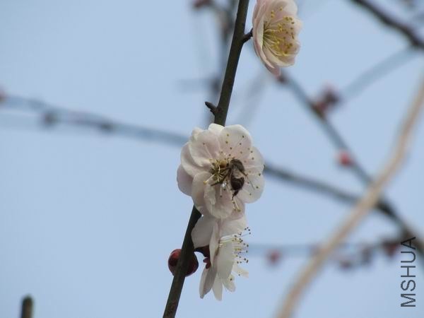 IMG_0005.JPG