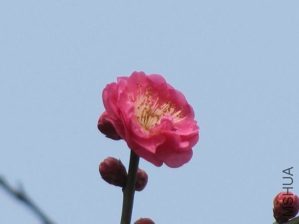 IMG_0006.JPG