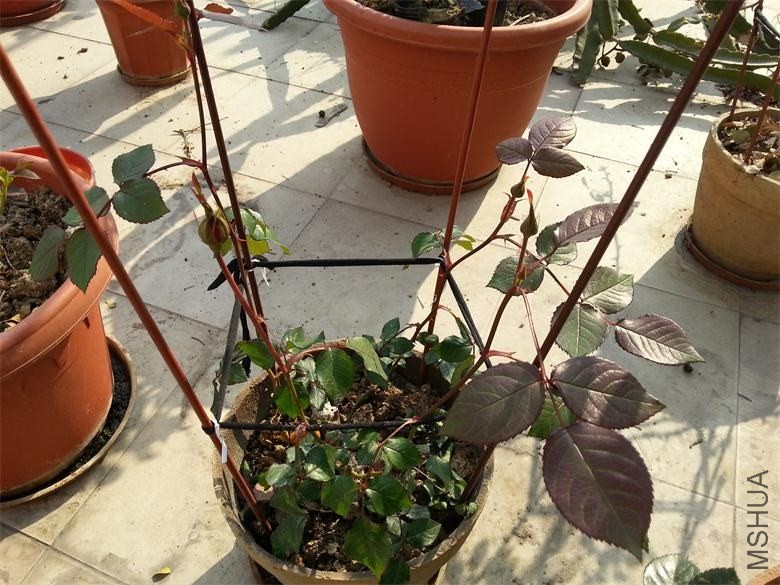 20140120_150430.jpg