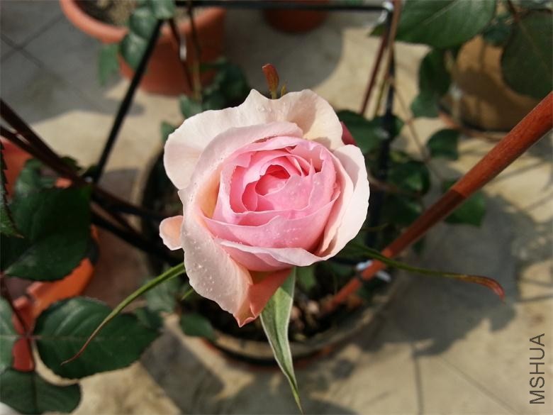20140130_112301.jpg