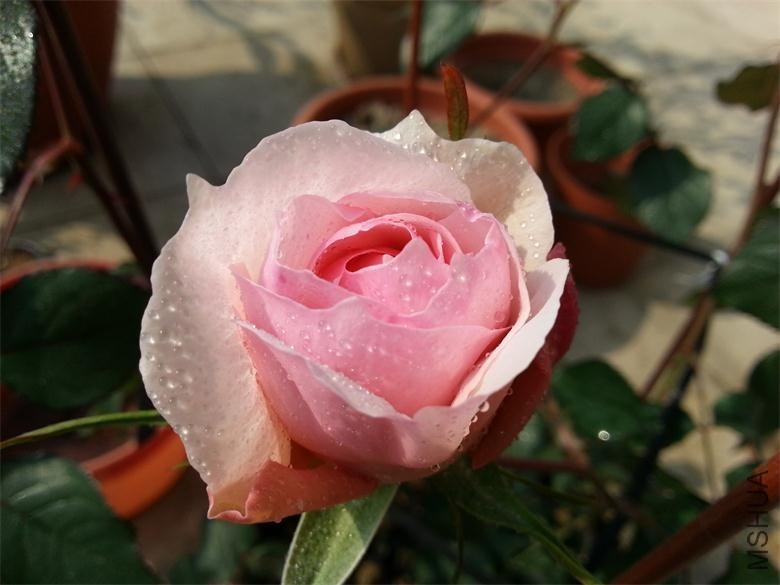 20140130_111315.jpg