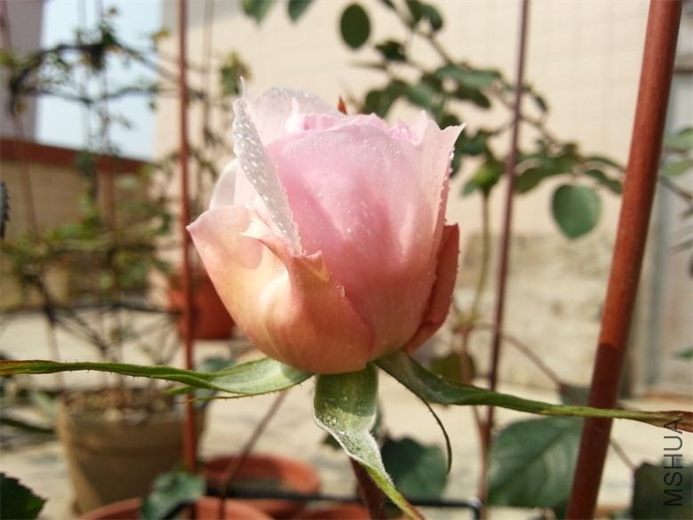 20140130_111340.jpg