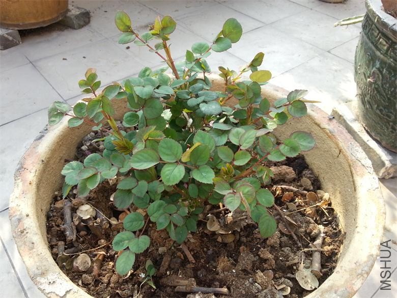 20140120_150724.jpg