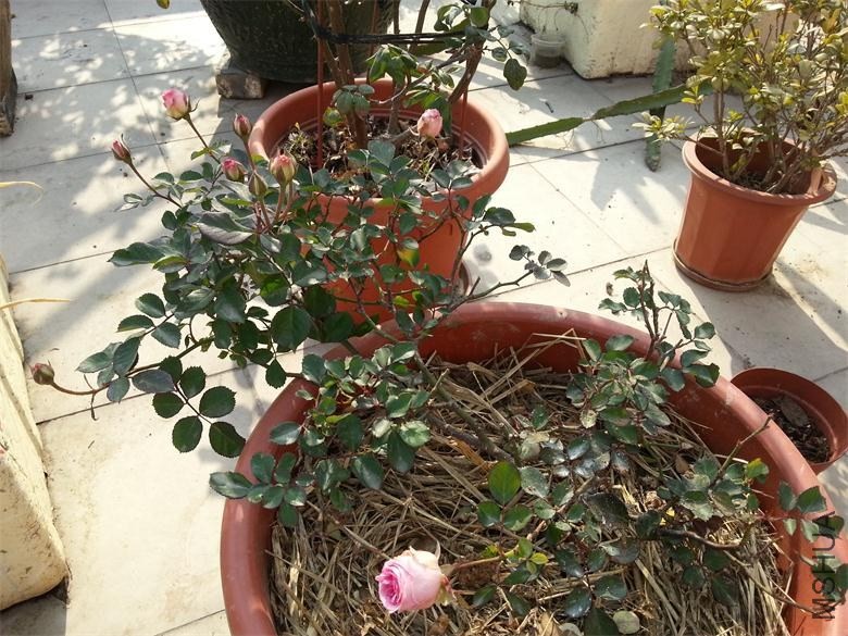 20140120_150710.jpg