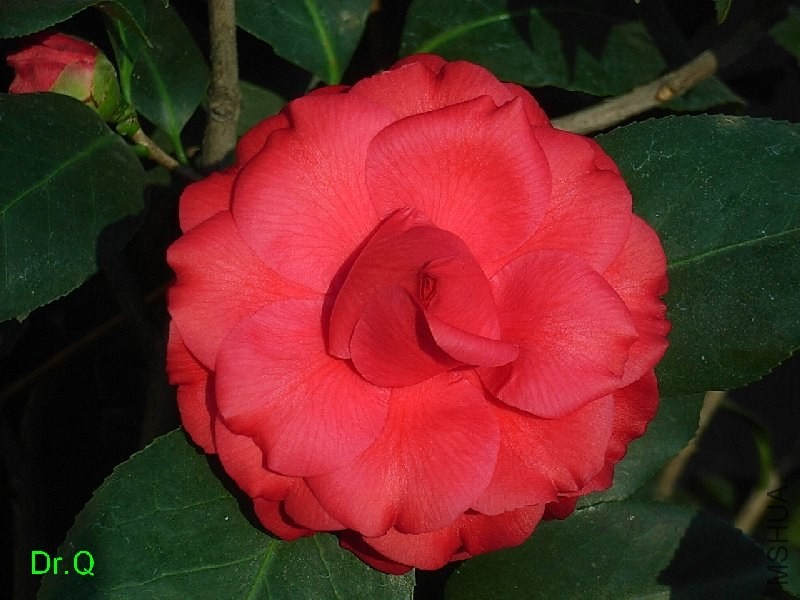 3-��ؐ��-2.JPG