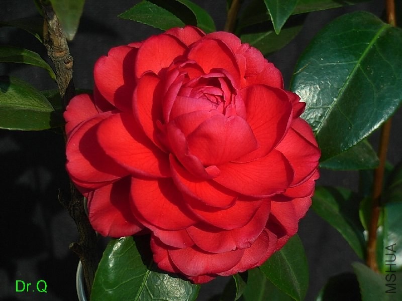 5-���ݷ�-1.JPG