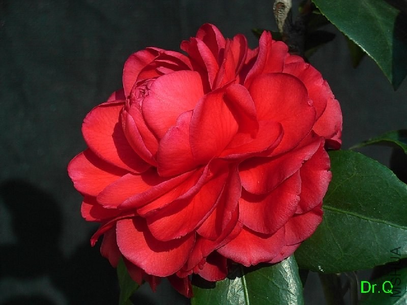 5-���ݷ�-3.JPG