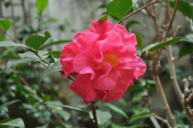 3�m͢����04.JPG