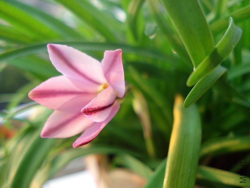 DSC07796_.jpg