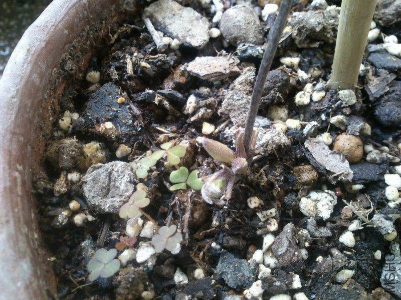 ��������������ҲͻȻ�����ˣ�������